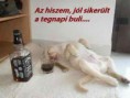 /album/fenykepgaleria/kackac-jpgn-jpg/