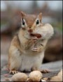 /album/fenykepgaleria/kacos-jpg/
