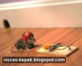 /album/fenykepgaleria/images-jpg/